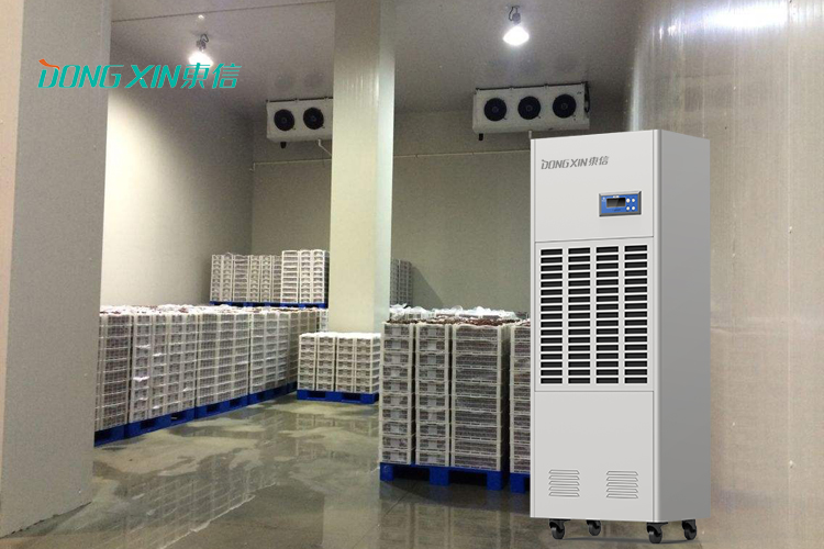 1603943183210635.jpg 東信低溫除濕機(jī) (2).jpg